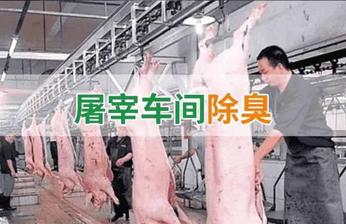 屠宰場(chǎng)臭氣影響周邊環(huán)境？解決辦法在這里-1