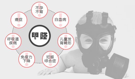 常見的“除甲醛”方法有哪些呢？有什么優缺點？.png